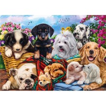 Puzzle 500 piéces équipe de chiens