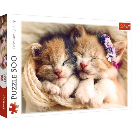 Puzzle 500 piéces équipe de chats