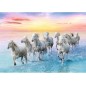 Puzzle 500 piéces équipe de chevaux