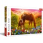 Puzzle 500 piéces cheval et poulain