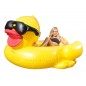 CANARD GEANT Lunette 206 X 193 cm