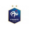 FEDERATION FRANCAISE DE FOOTBALL